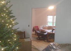 ROGER-PAINTING-REMODELING-LLC-104